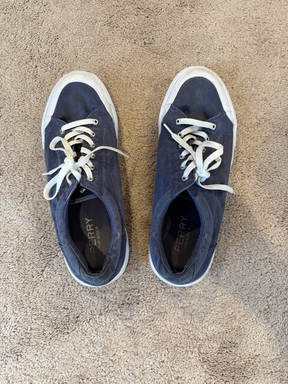 Sperry Top Sider Navy Canvas Low-Top Sneakers with White Accents